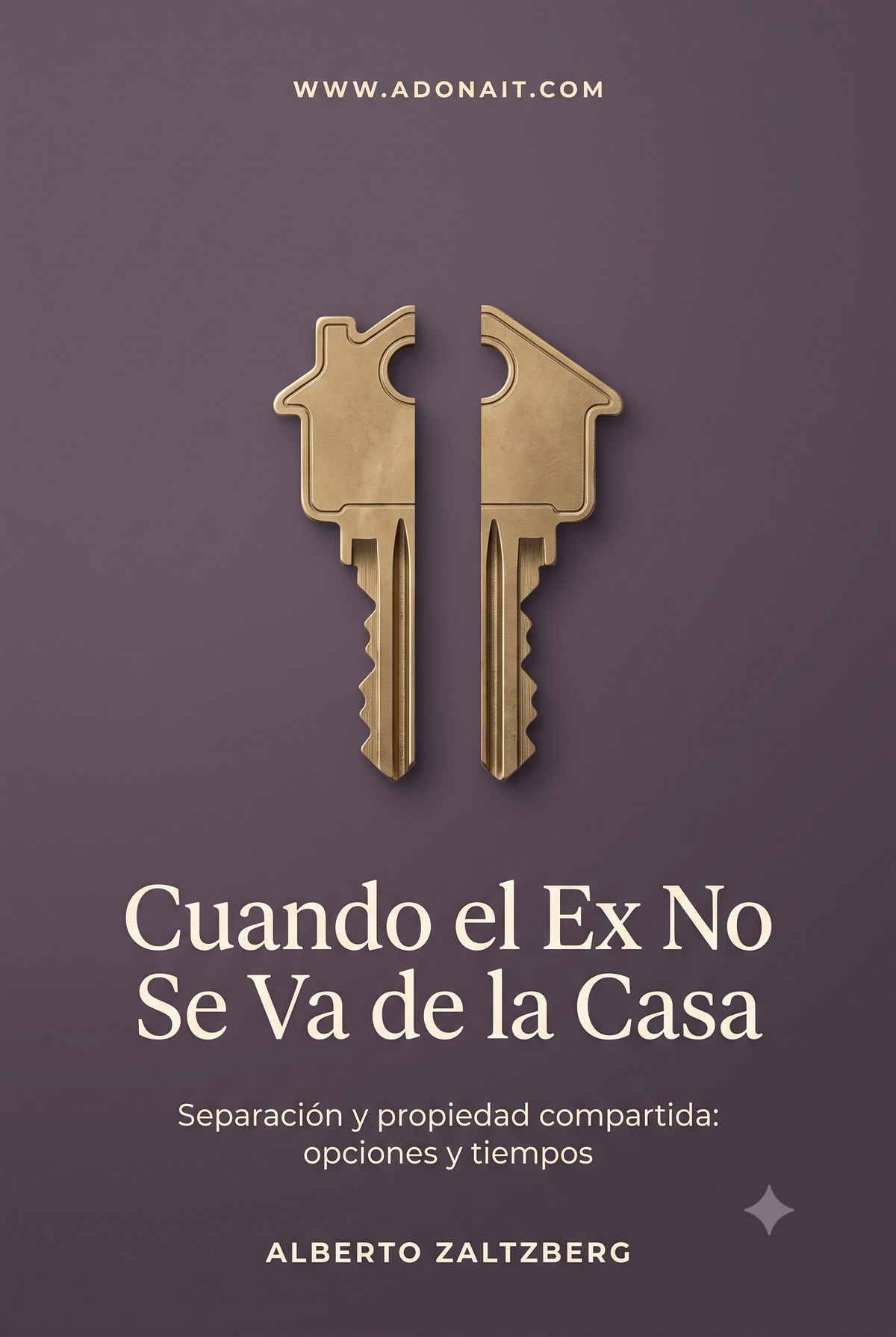 Cuando el Ex No Se Va de la Casa